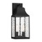 Designers Fountain Blueberry Trail 195 in 2Light Black Outdoor Wall Lantern with Water Glass Shade D265M-8EW-BK - alternate 3